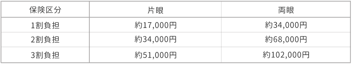 表：保険区分1割負担 片眼約17,000円 両眼約34,000円  保険区分2割負担 片眼約34,000円 両眼約68,000円  保険区分3割負担 片眼約51,000円 両眼約102,000円